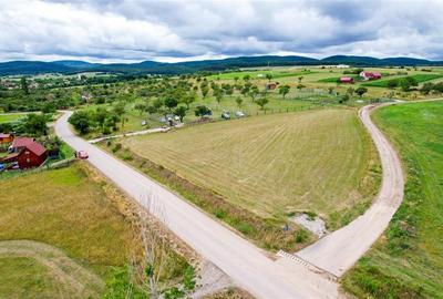 Teren Construcții extravilan de 3800 mp, în Valea Crișului - 4