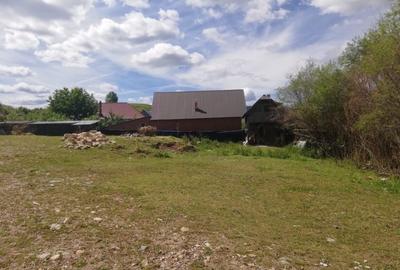 Teren Construcții intravilan de 6700 mp, în Mărgău - 3