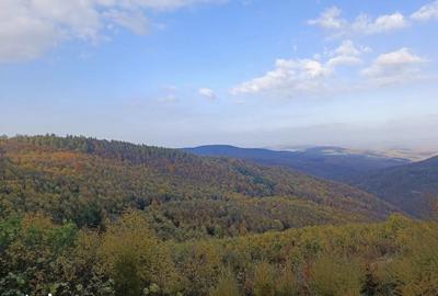 Casă cu 3 camere cu Teren 6000 Mp în Târnova