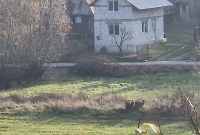 Teren de 1400 mp, în Mociu