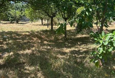 Casă cu 4 camere în Drăgoești