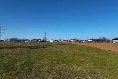 Teren de 3000 mp, în Movila (Niculești) - 6