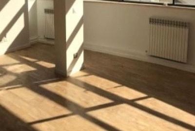 Apartament cu 21 camere decomandat în Herăstrău - 7