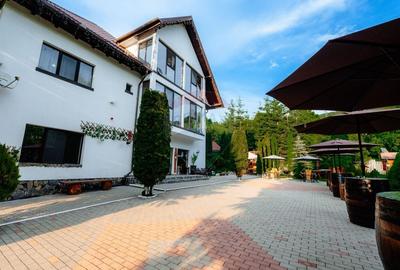 Hotel/Pensiune, de 300 mp, în Rucăr - 6