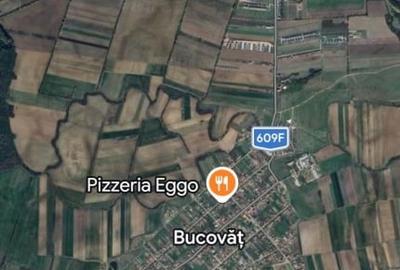 Teren Construcții intravilan de 540 mp, în Bucovăț (Remetea Mare) - 4