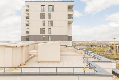 Penthouse cu 6 camere decomandat în Aviației - 46