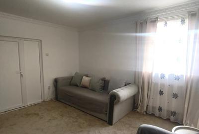 Apartament cu 2 camere semidecomandat în Rahova - 9