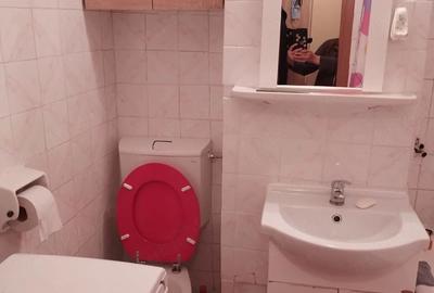 Apartament cu 2 camere nedecomandat în Șagului