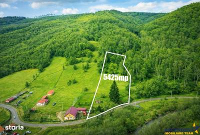 Teren de 5425 mp, în Vama Buzăului - 8