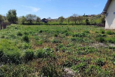 Teren de 6000 mp, în Hereclean - 3