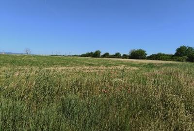 Teren agricol intravilan de 1000 mp, în Micălaca - 3