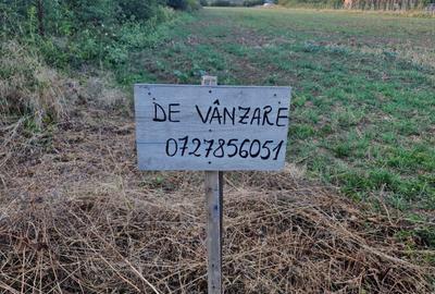 Spațiu comercial, în Balotești