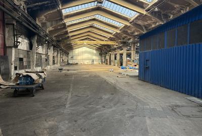 Spațiu industrial, de 3,636 mp, în Basarabia