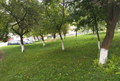 Spațiu comercial, în Hunedoara