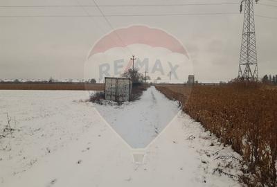 Teren Construcții intravilan de 5460 mp, în Stupini - 7