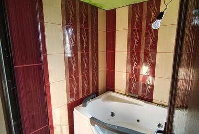 Casă cu 3 camere cu Teren 5000 Mp în Valea Crișului