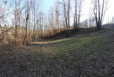 Teren de 4750 mp, în Provița de Sus - 10
