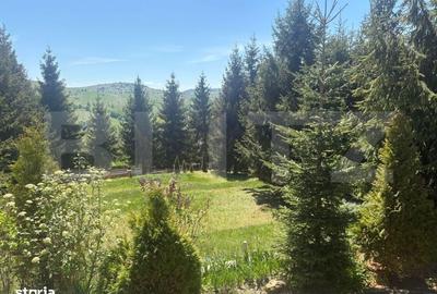 Casă cu 4 camere în Băișoara - 17