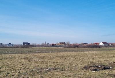 Teren Construcții intravilan de 503 mp, în Remetea Mare - 1