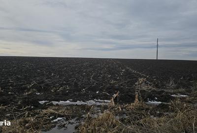 Teren de 3750 mp, în Central - 3