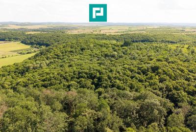 Teren agricol extravilan de 22900 mp, în Exterior Sud - 8