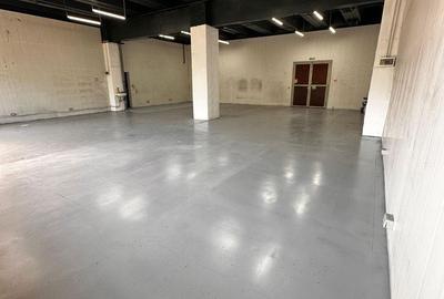 Spațiu industrial, de 180 mp, în Theodor Pallady