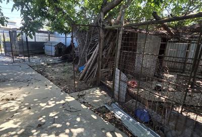 Casă cu 4 camere cu Teren 500 Mp în Radu Negru