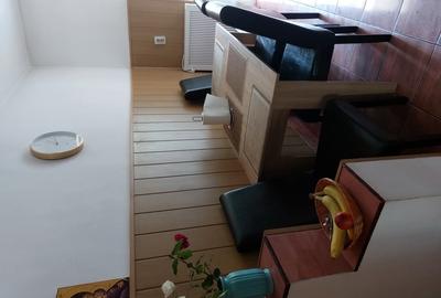 Apartament cu 2 camere semidecomandat în Brezoi - 2