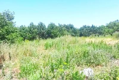 Teren de 1500 mp, în Nădab - 2