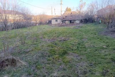 Teren de 811 mp, în Căscioarele - 3