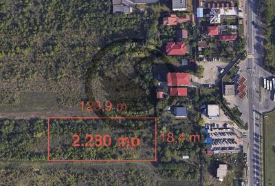 Teren Construcții intravilan de 2280 mp, în Sud