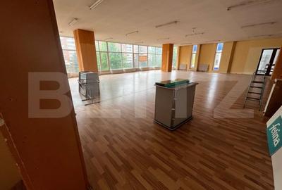 Spațiu comercial, de 790 mp, în Rogerius