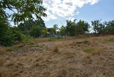 Casă cu Teren 1750 Mp în Costache Negri
