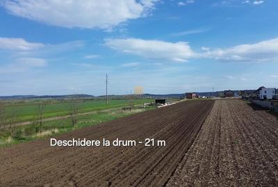 Teren de 3498 mp, în Tișăuți - 12