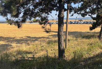 Teren de 10200 mp, în Plopeni