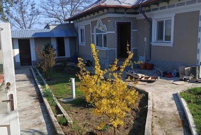 Casă cu 3 camere în Nufăru