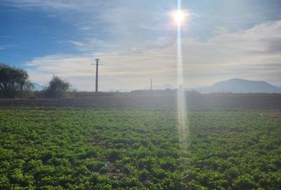 Teren agricol intravilan de 510 mp, în Hălchiu - 2