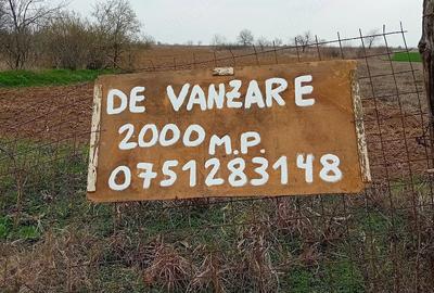 Teren de 2000 mp, în Curtișoara