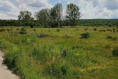 Teren de 1500 mp, în Merișani - 3