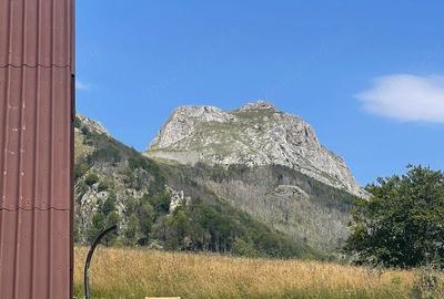 Teren de 16000 mp, în Central - 5