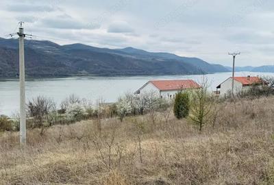 Teren de 6042 mp, în Berzasca - 9
