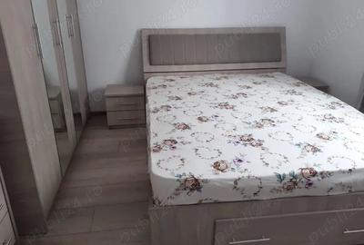Apartament cu 3 camere decomandat în Merișani - 2