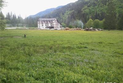 Teren de 5000 mp, în Brateș