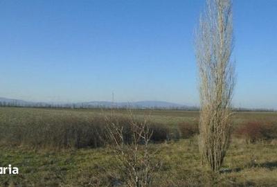 Teren de 5800 mp, în Central - 8