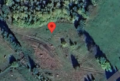 Teren de 10700 mp, în Pojorâta - 1