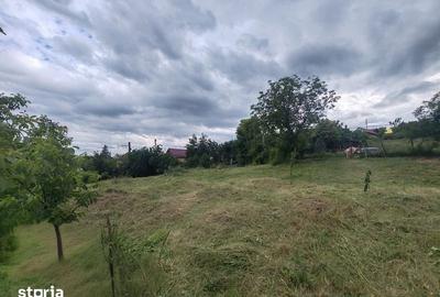 Teren de 1167 mp, în Cojocna - 3