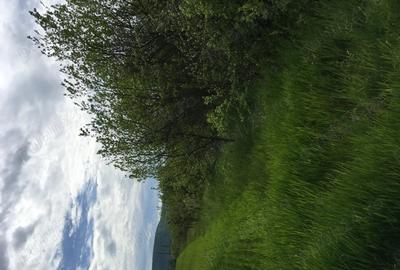 Teren de 6000 mp, în Cârnești - 2