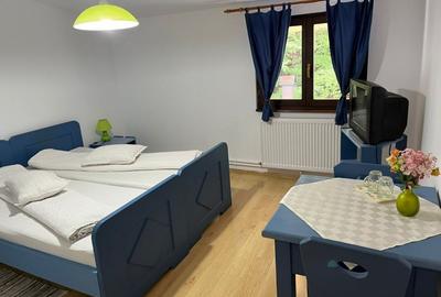 Hotel/Pensiune, de 400 mp, în Lepșa - 18