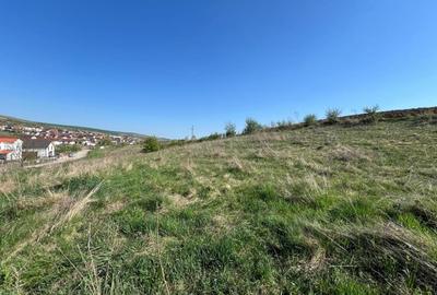 Teren Construcții intravilan de 3800 mp, în Chinteni - 1