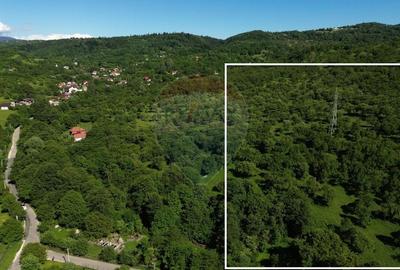Teren agricol extravilan de 14489 mp, în Exterior Est - 1